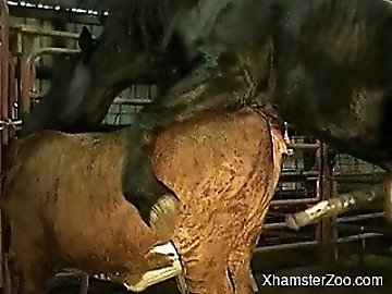 pleases zoo