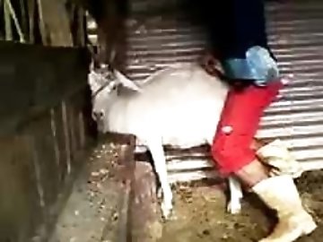 own zoo